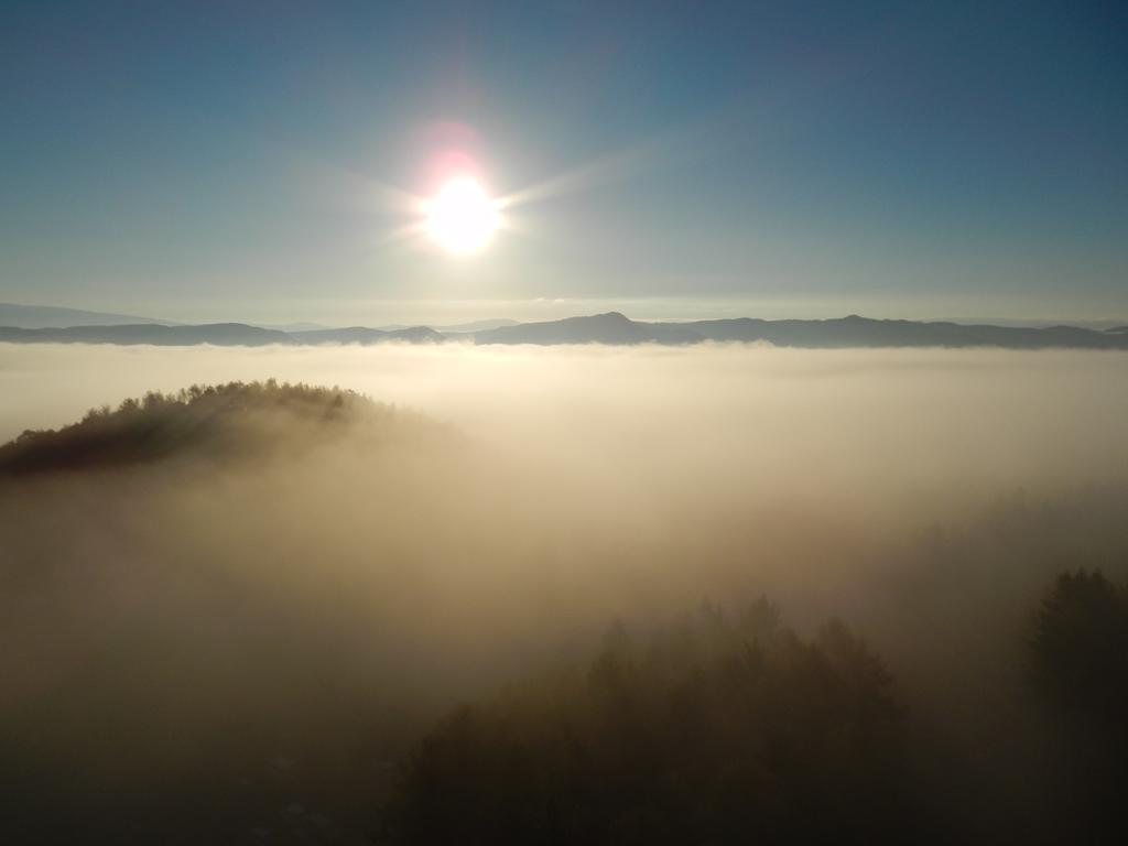 Shin Furano Prince Hotel Extérieur photo Fog over the Black Forest